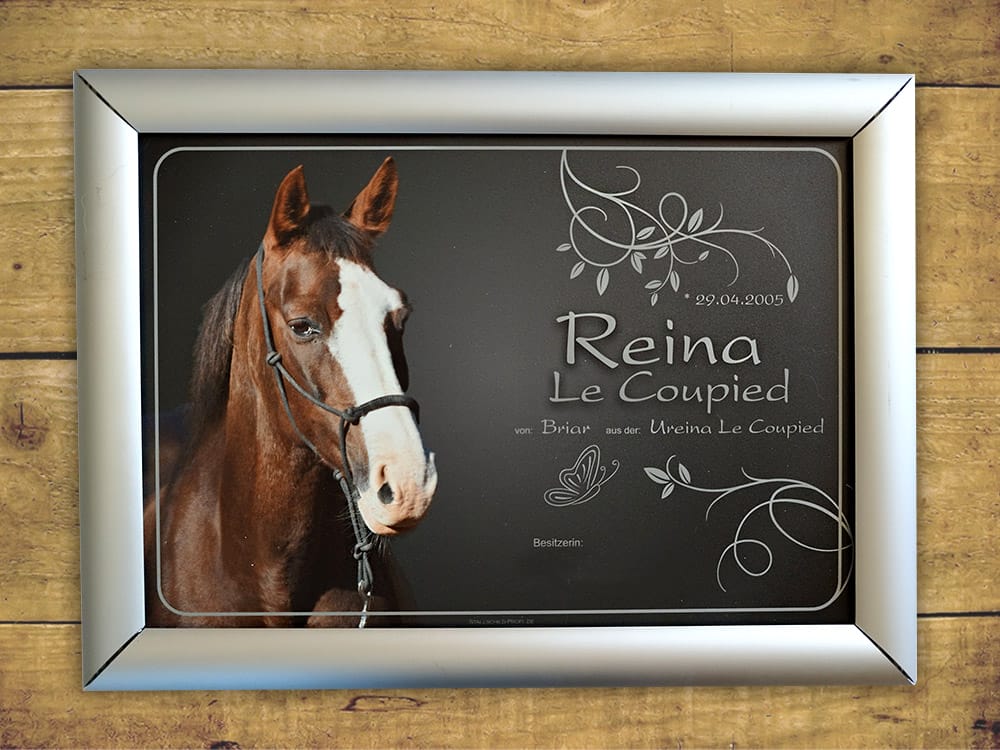 Premium Boxenschild Wechselrahmen für Boxenschilder und Stallschilder