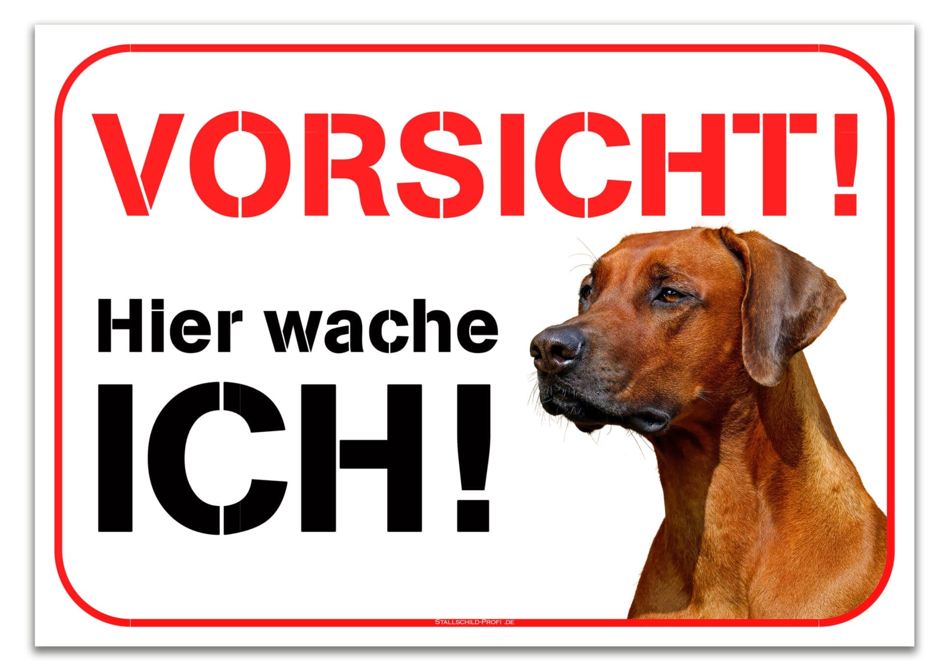 Deine eigene Design Vorlage - Hund