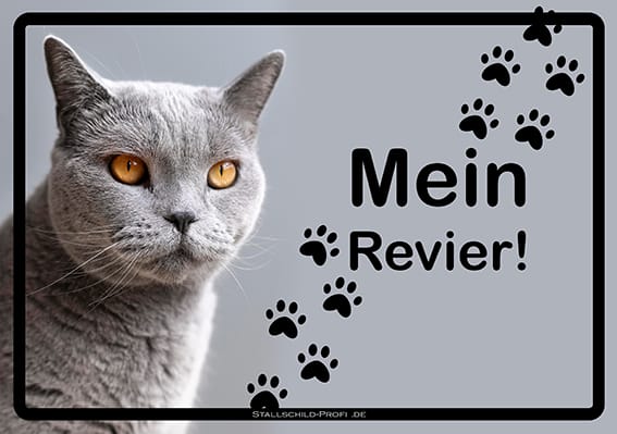Deine eigene Design Vorlage Katze