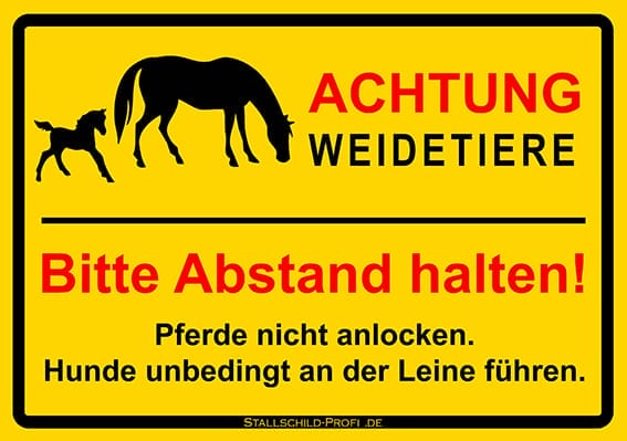 Achtung Weidetiere Schild gelb