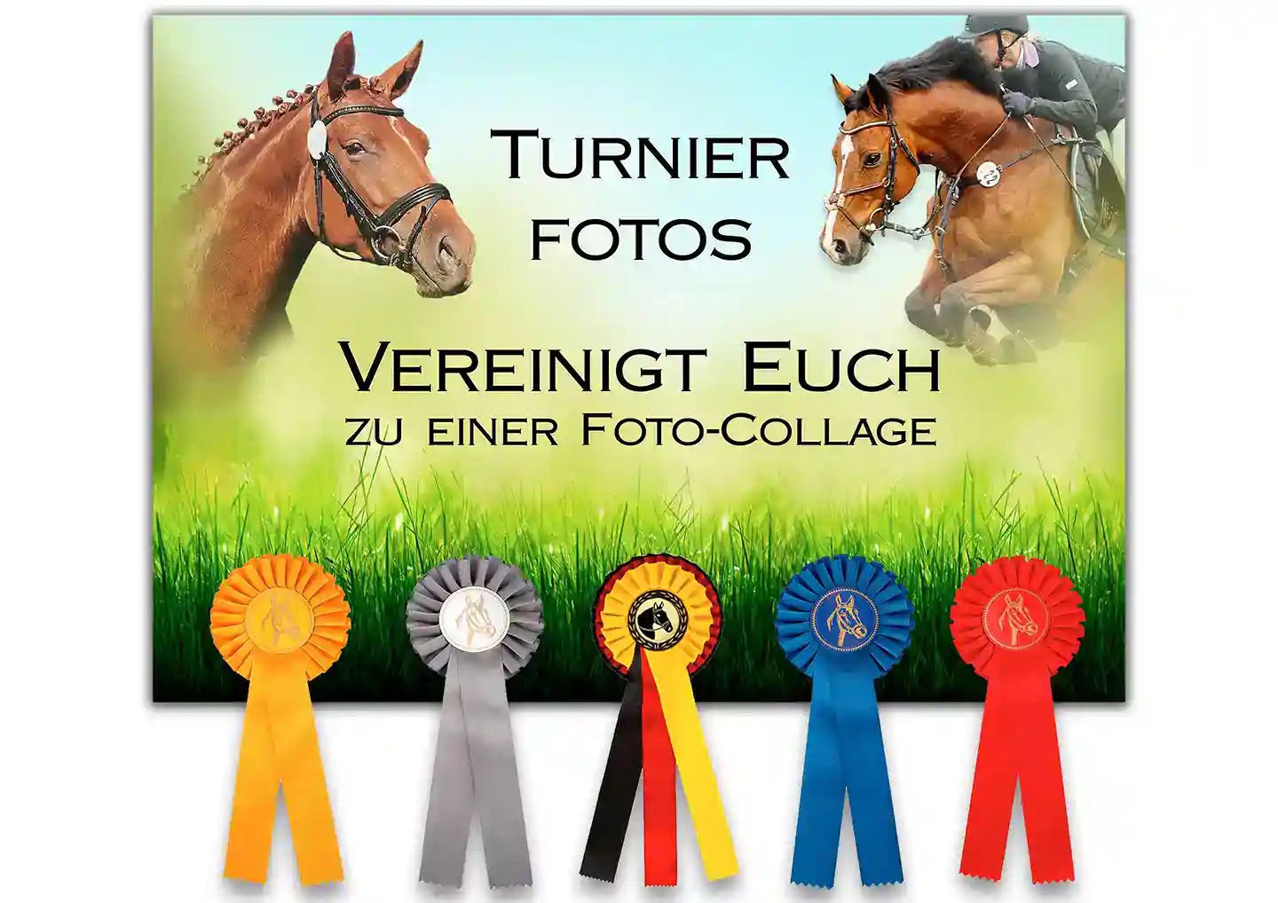 Fotocollagen Foto-Collage Pferd Hund stallschild-profi Turniersaison