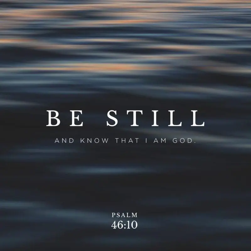 2026ffb2-a33f-4f67-b1bf-70eb82223e82_1280x1280