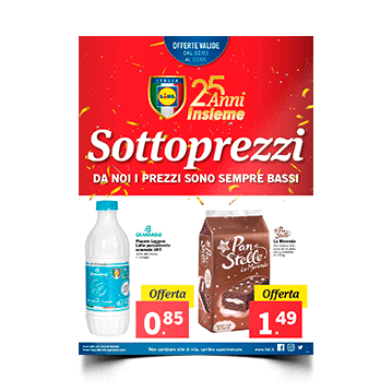 Volantino A4 (21x29,7 cm)