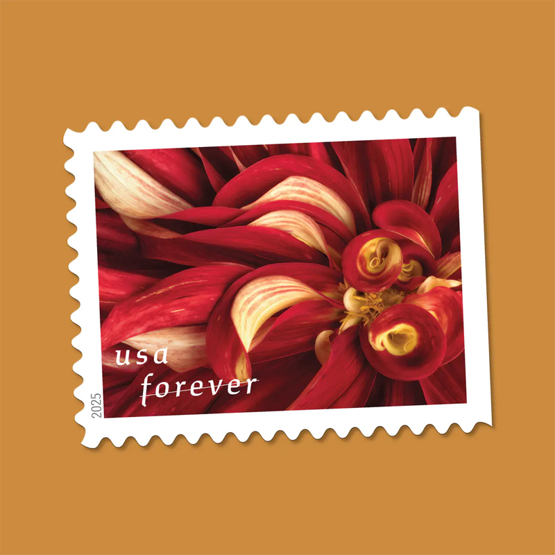 2025 Dahlias Stamps Book of 20 - Image 1