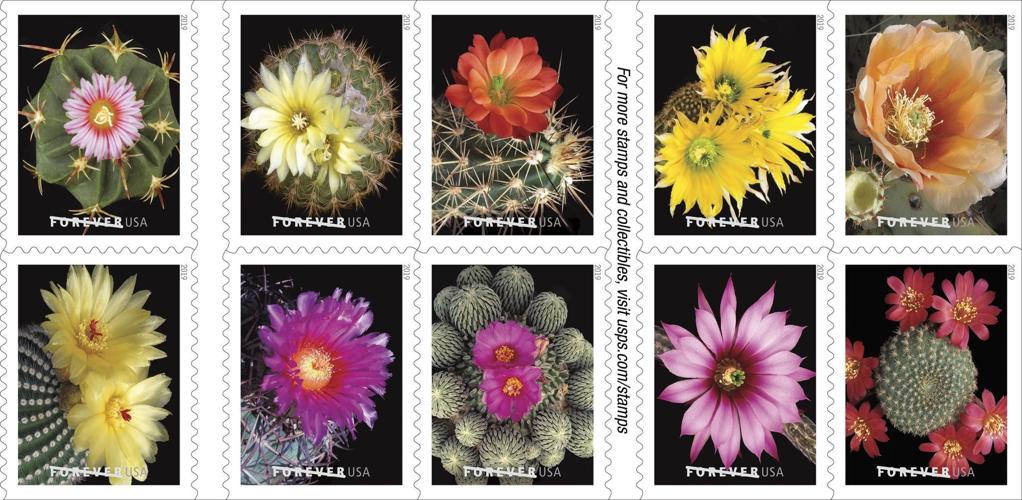 (2019) USPS Cactus Flowers Forever First Class Postage Stamps - Image 1