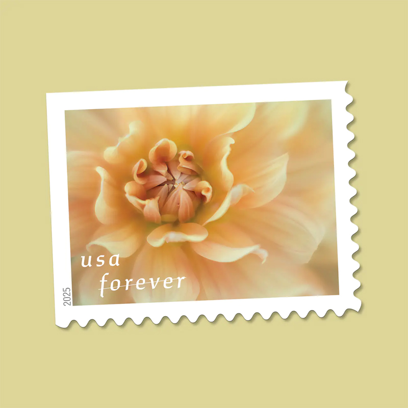 2025 Dahlias Stamps Book of 20 - Image 2