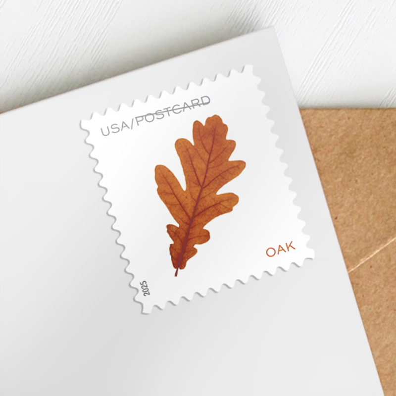 2025 Vibrant Leaves Postcard Stamps, Sheetof 20 Postcard |Multiple Stamp Designs and Formats - Image 1