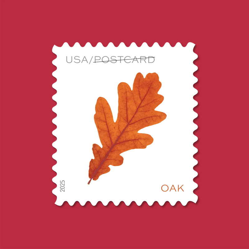 2025 Vibrant Leaves Postcard Stamps, Sheetof 20 Postcard |Multiple Stamp Designs and Formats - Image 2