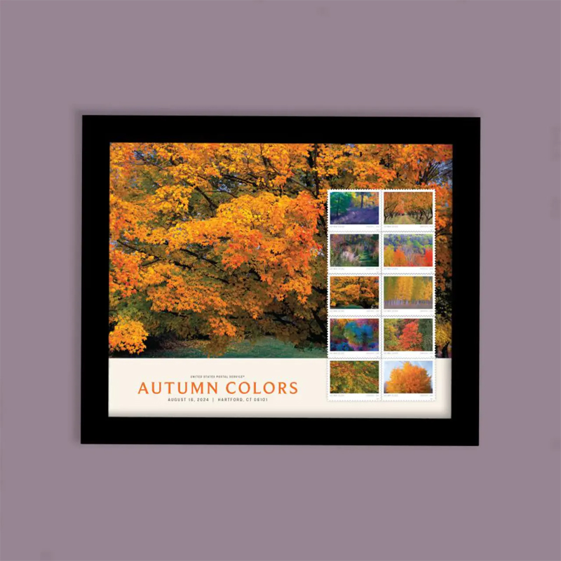2024 forever stamps Autumn Colors - Image 2