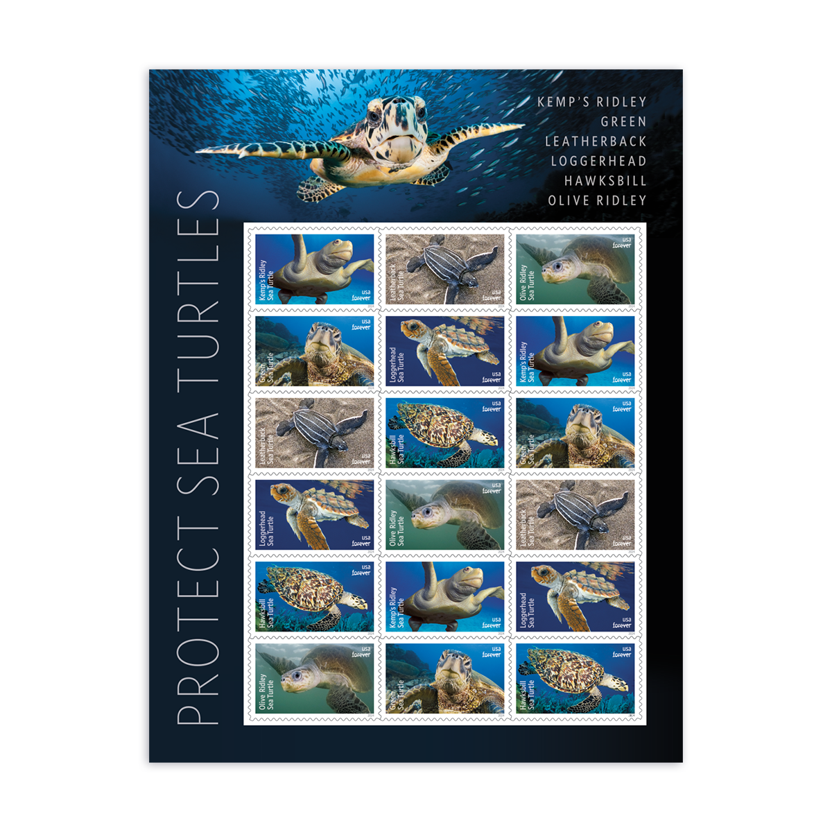 2024 Protect Sea Turtles Stamps - Image 1