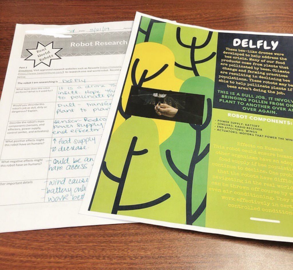 Delfly robot research project poster and graphic organizer from the middle school robotics project