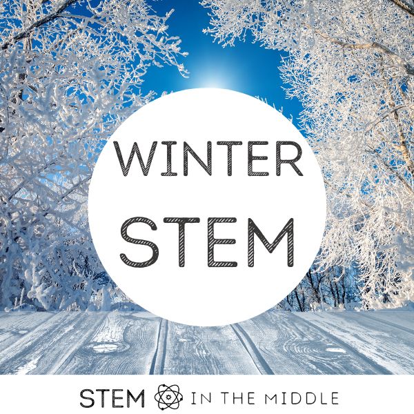 This image shows snowy trees and a blue sky. The text reads "Winter STEM."