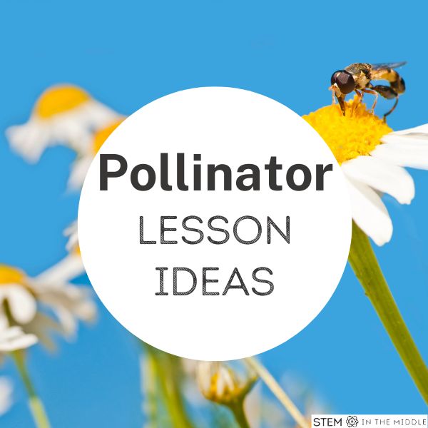 The text reads, "Pollinator Lesson Ideas." The background shows a bee visiting a flower.