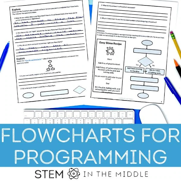 The text reads, "Flowcharts for Programming." The image shows worksheets that teach computer science students how to use flowcharts to plan their code.