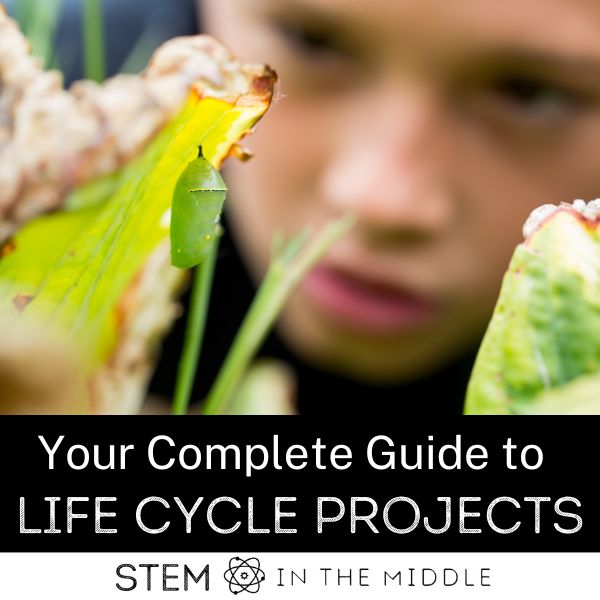 This image shows a child observing a butterfly chrysalis hanging from a leaf. The text reads "Your Complete Guide to Life Cycle Projects."