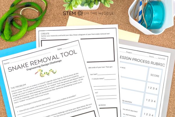 This image shows a worksheet titled "Snake Removal Tool: Engineering Design Challenge." There is also a grading rubric, a rubber snake, tape, and index cards.