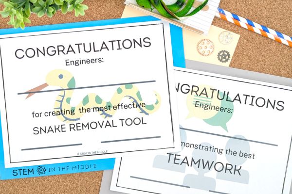 This image shows two certificates. One says "Congratulations for creating the most effective snake removal tool." The other reads, "Congratulations for demonstrating the best teamwork."