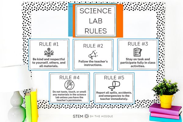 This image shows a bulletin board with the title, "Science Lab Rules." There are 5 rule posters, each states a rule and image.