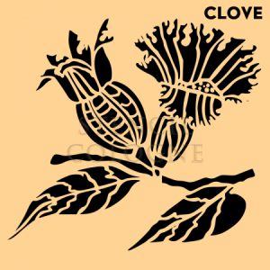 NATURE MOTIFS - Clove