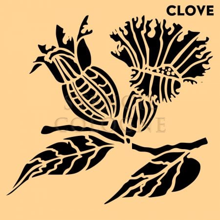 NATURE MOTIFS - Clove