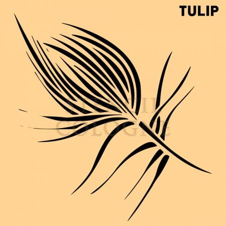 NATURE MOTIFS - Tulip