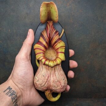 Wallnuts, weird pitcher plant wall decor, funny home plant decoration