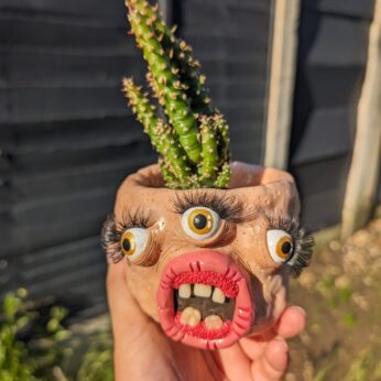Plant Pot Ugly