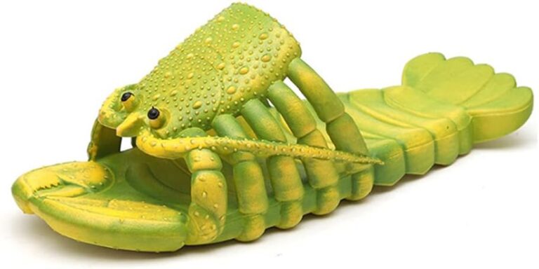 stylish cozy lobster themed footwear