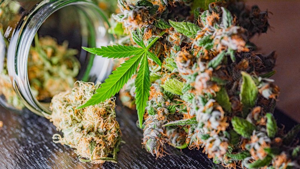 acheter-cbd-créteil-fleurs-cbd-huile-cbn-strongcbd