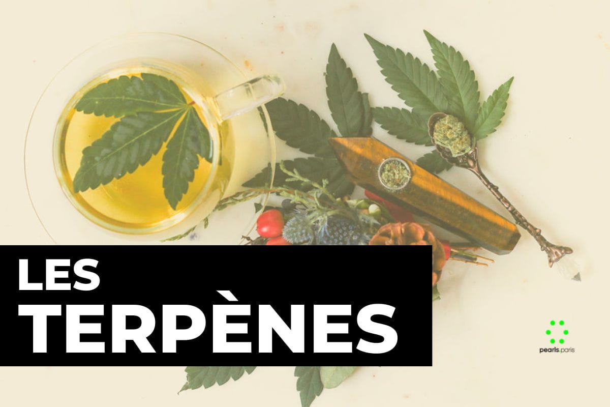 terpene-cbd