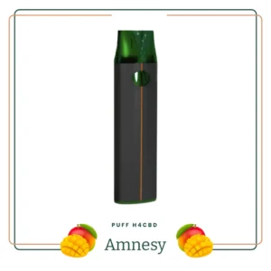 puff amnesy