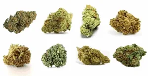 Coffret-cbd-1