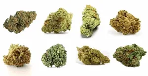 Coffret-cbd-2