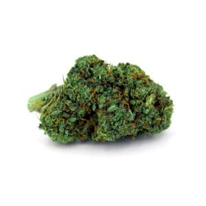 Super-Skunk-cbd-sativa-indica-indoor-strongcbd