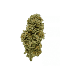 10-x-hornet-rolling-paper-filter-tips-50-leaves-6021mm-natural-paper-tip-filter-rolling-paper_5da4e2b72c2b6