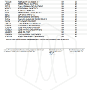 COA Frozen blueberry