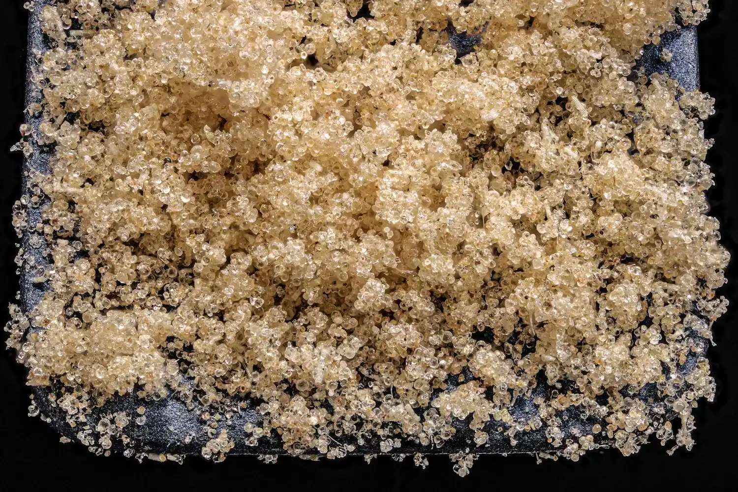 processus extraction ice water hash CBD sacs filtrants