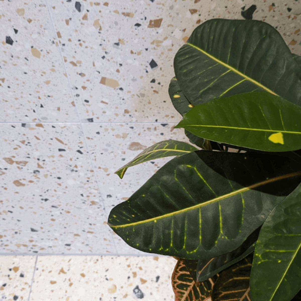 Mont Blanc Beige Fliesen von Studio Stena