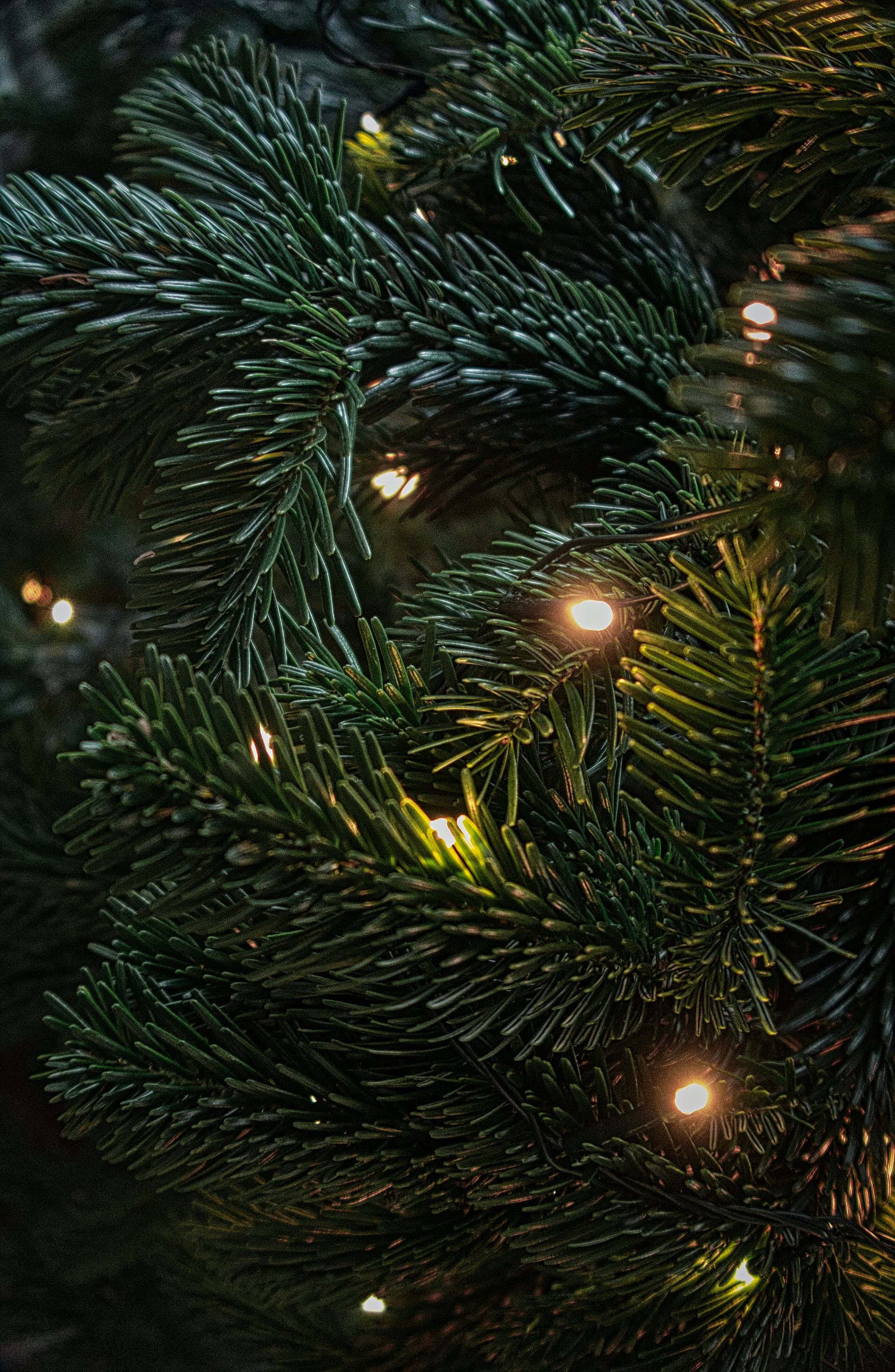 Christmas Wallpaper