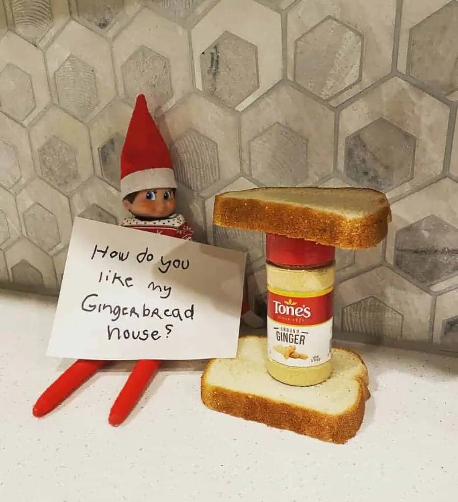 elf on the shelf ideas