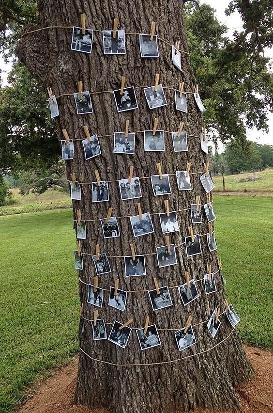 backyard graduation party ideas