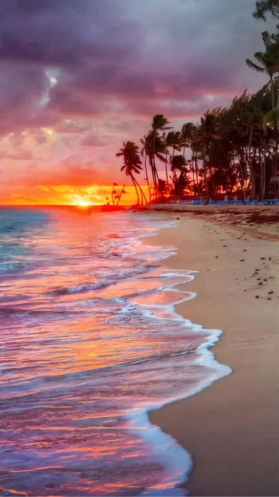 summer wallpapers