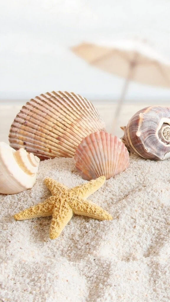 summer wallpapers