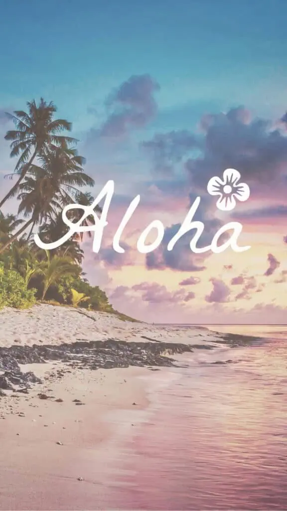 summer wallpapers