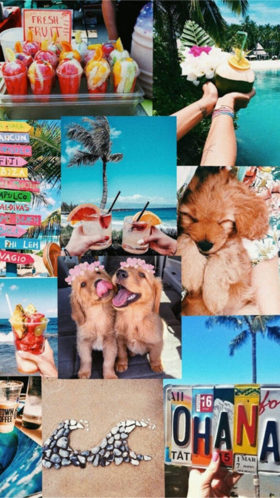 summer wallpapers