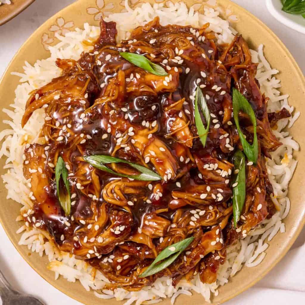 FALL CROCKPOT RECIPES