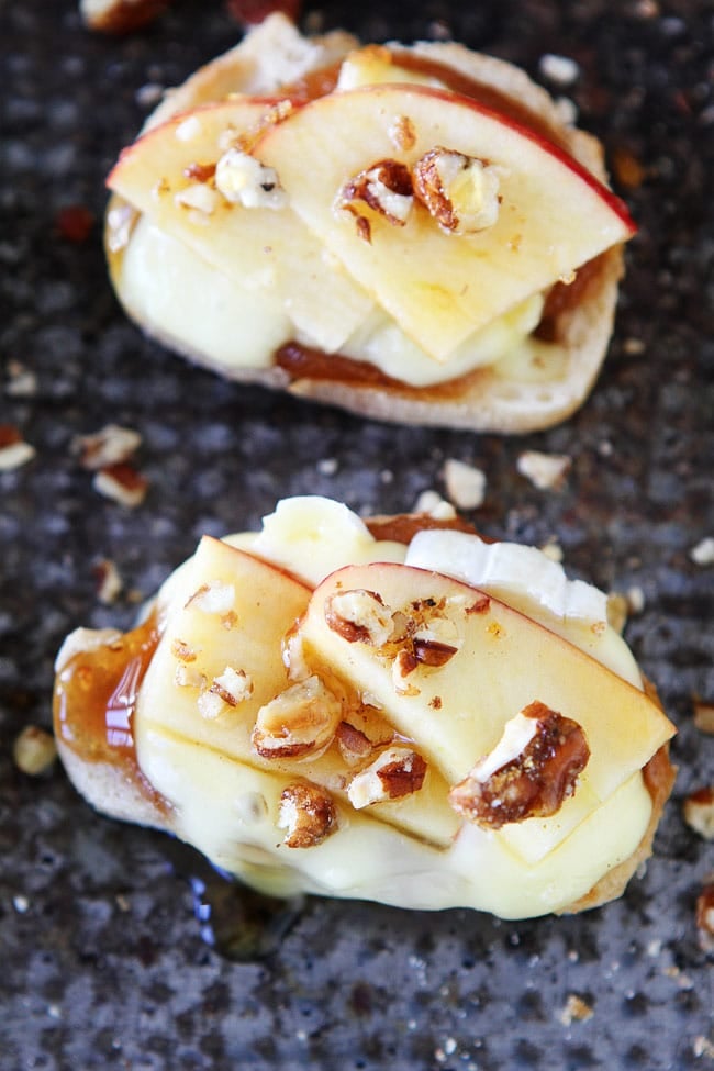 thanksgiving appetizer recipes