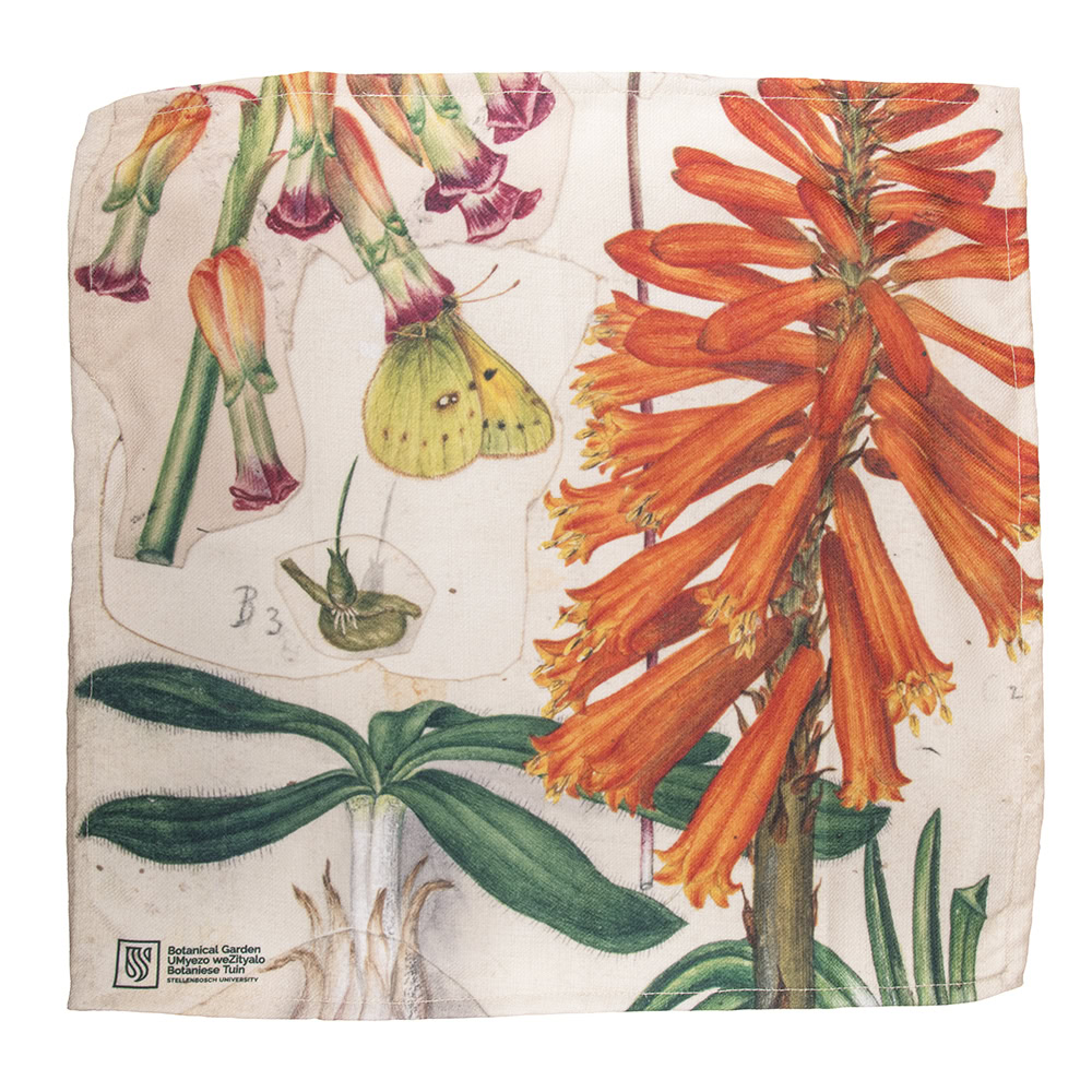 Marloth Collection - Napkin Set of 2 - plate 24 - Image 2