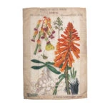 Marloth Collection - Tea Towel - plate 24