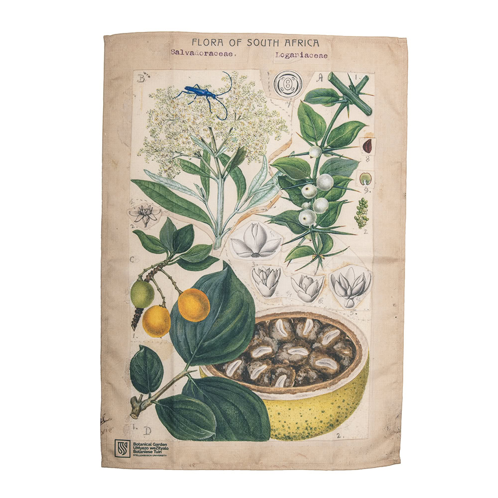 36faa9b3-8e5a-4600-bfdc-bf38eb06ff63.jpg Marloth Collection - Tea Towel - plate 14 - Image 1